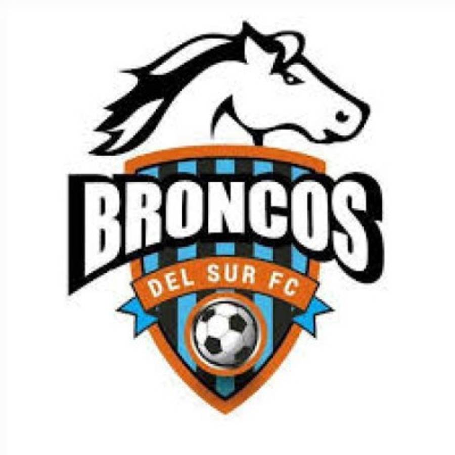 ¡Hermosos! Los clubes de Centroamérica con los escudos más llamativos