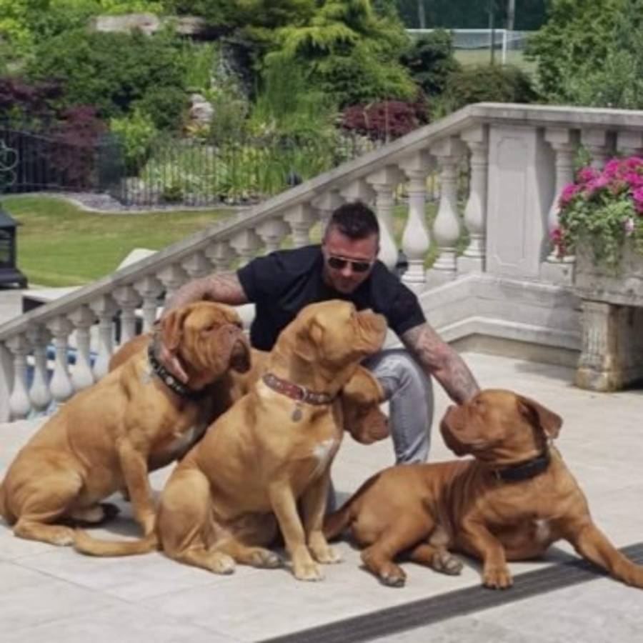 Millonario compra equipo inglés, echa a todo el plantel y contrató 15 jugadores nuevos