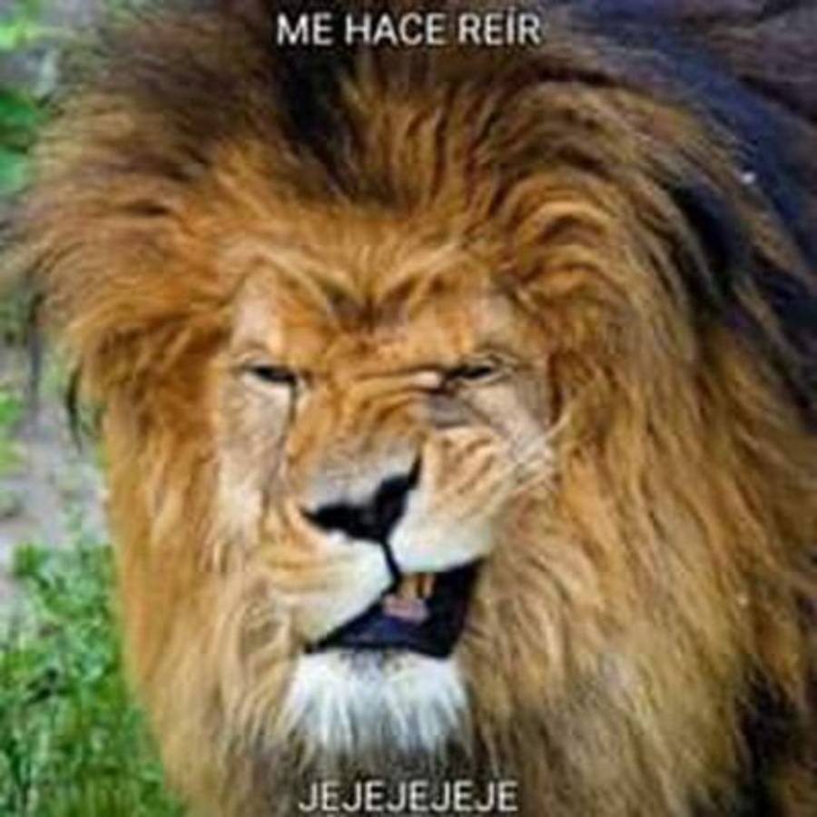 Humillan a Olimpia con memes tras ser goleado por Real España