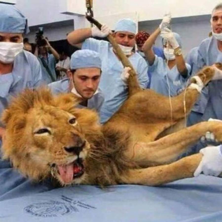 Olimpia cae ante Real España y lo acribillan de divertidos memes