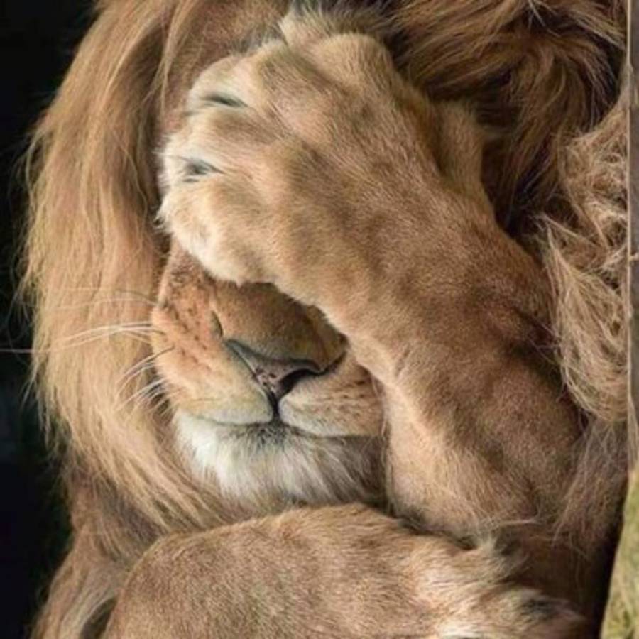 Los graciosos memes que dejó el clásico de Costa Rica