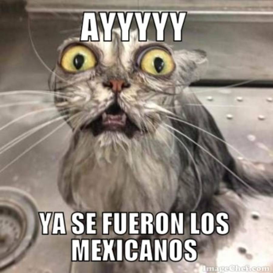 MEMES: Así se burlan de Honduras tras caer ante México en el preolímpico de Concacaf