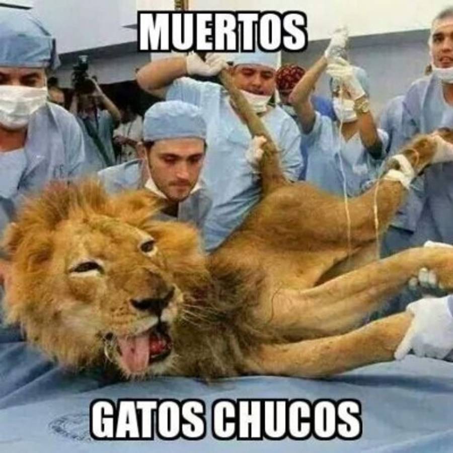 MEMES: Así se burlan de Olimpia tras ser eliminado de Motagua en semifinales