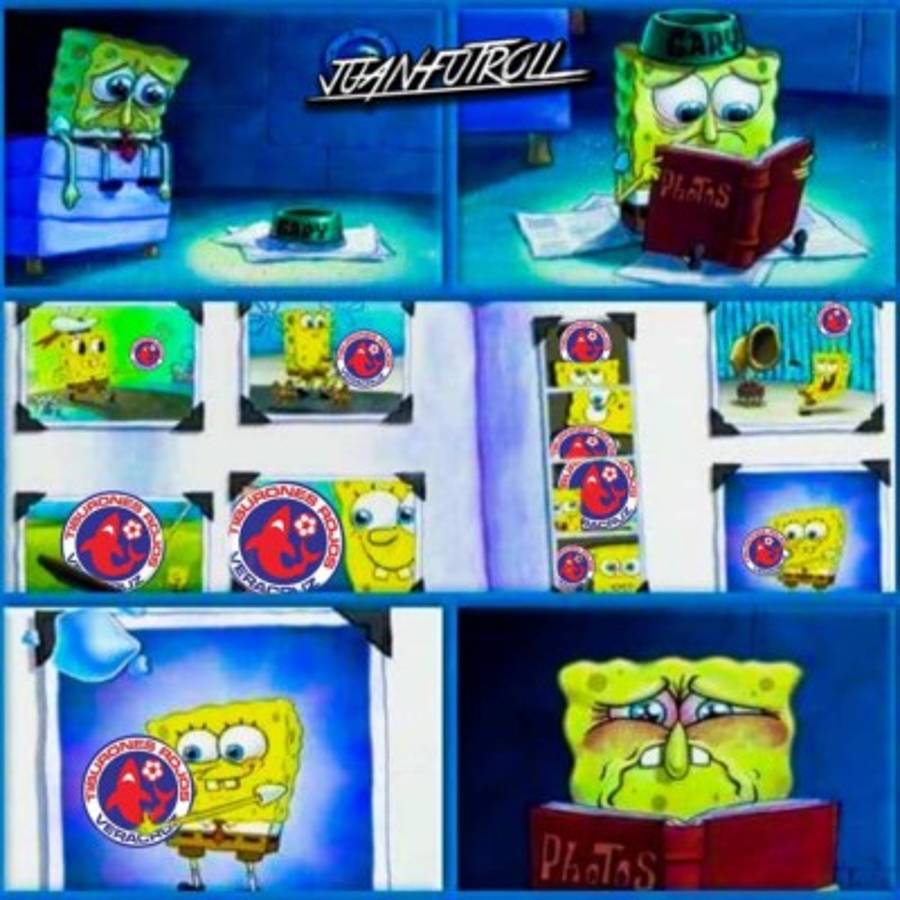 Liga MX: Veracruz es desafiliado y los divertidos memes no perdonan al Tiburón