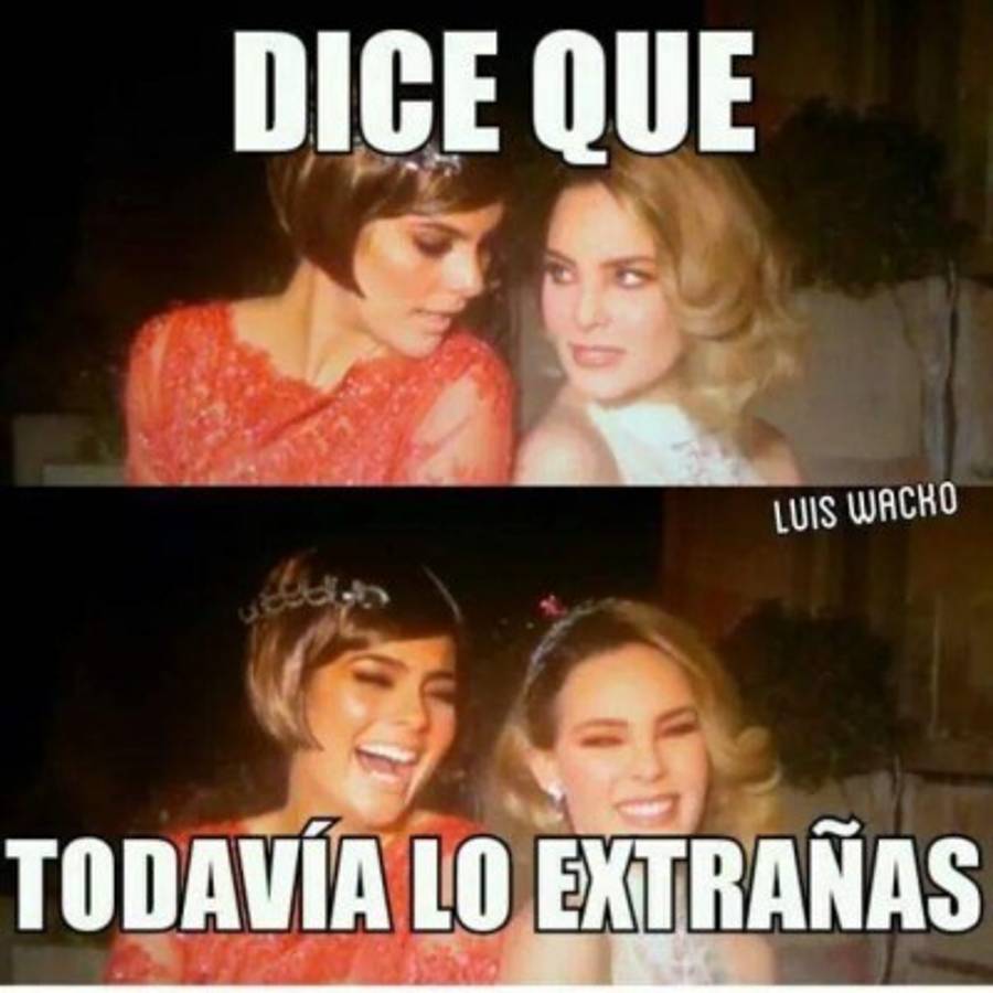 Los mejores memes que se han visto de las novias de futbolistas