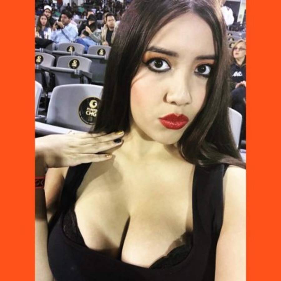 Jugador egipcio Amr Warda, expulsado de la selección por faltas 'inmorales'