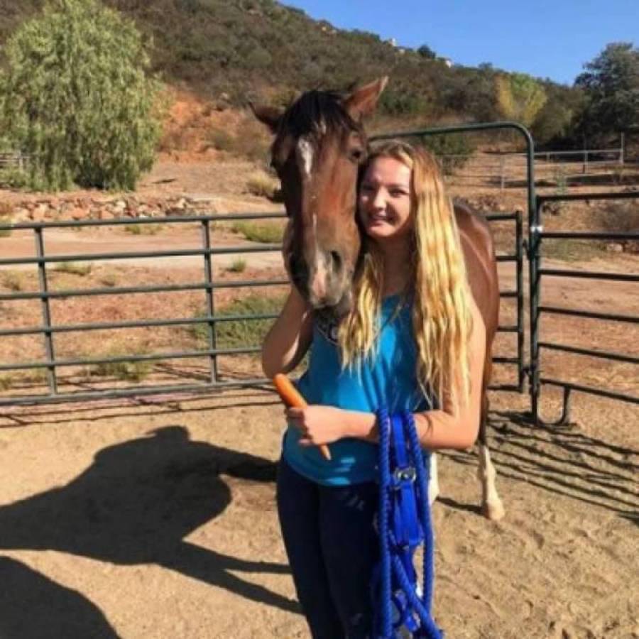 La rotunda respuesta de David Faitelson del por qué no viene a Honduras