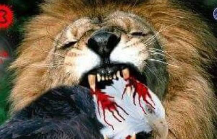 Olimpia le estrena la copa a Motagua y los memes no perdonan al Ciclón ¿Cómieza una nueva paternidad?