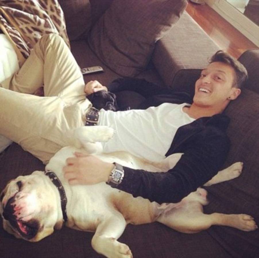 Los espectaculares perros de los futbolistas en el #DíaDelPerro