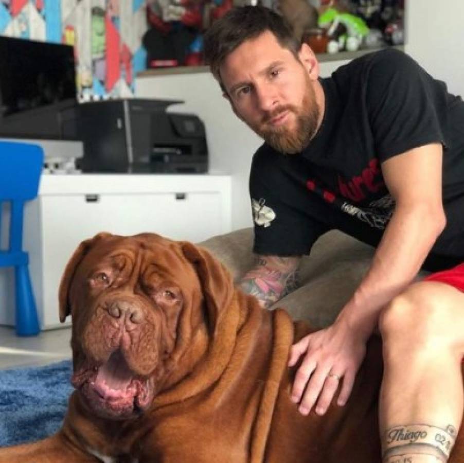 La impresionante transformación de 'Hulk', el perro de Lionel Messi