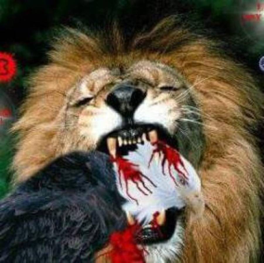 Los mejores memes que dejó el clásico Olimpia-Motagua en Honduras