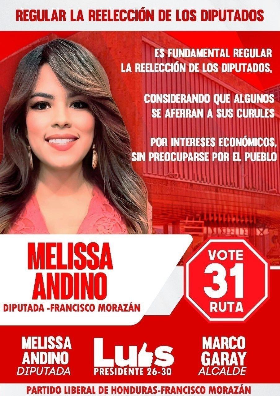 De periodistas a la política: varios buscan continuar y hay caras nuevas en las elecciones primarias 2025