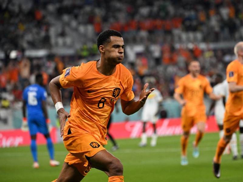 Con goles de Cody Gakpo y Klaassen, Países Bajos debuta con triunfo ante Senegal en el Mundial de Qatar