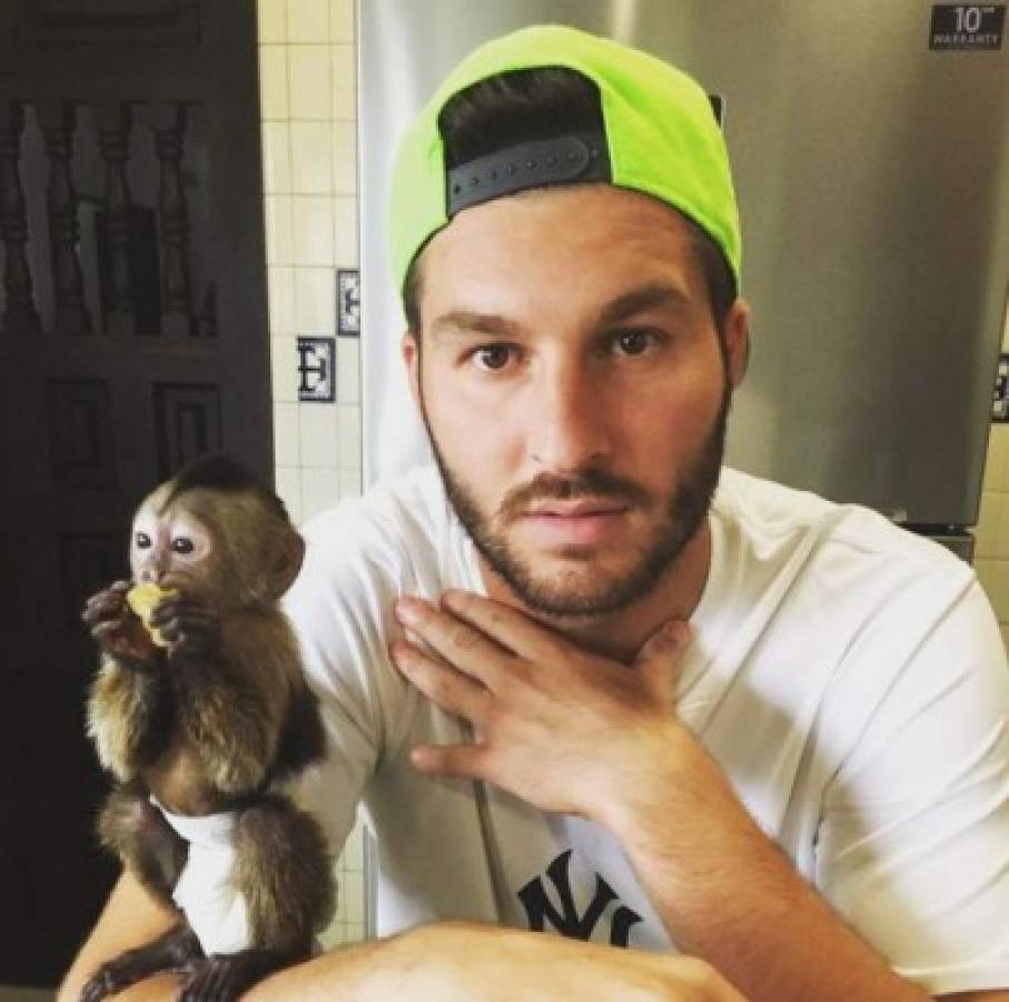 Así es la vida de Gignac en México: su negocio, la mascota exótica y cuánto se embolsa en Tigres