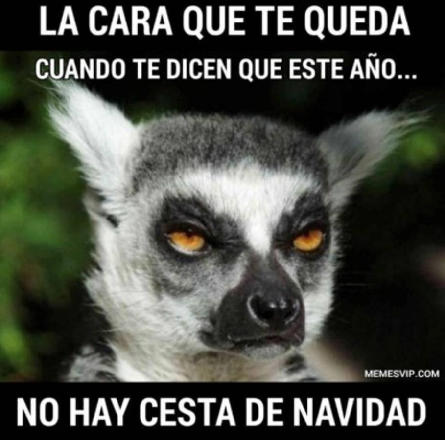 Desde el arbolito hasta lo gordo que puedes estar en enero: Los mejores y divertidos memes de la navidad 2019