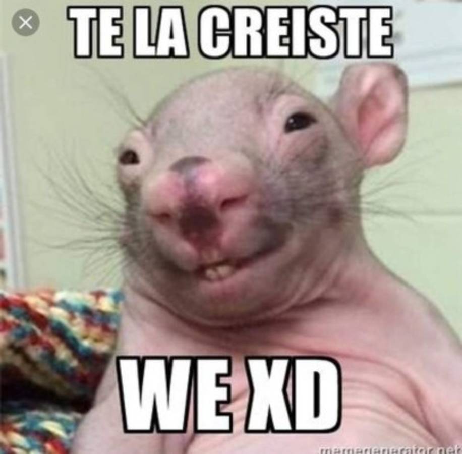 ¡BURLAS! Acribillan al Barcelona tras el hackeo y el fichaje de Di María