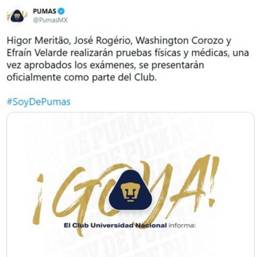 Mercado Liga MX: Tuca Ferreti tiene nuevo equipo, bombazo por el Chucky Lozano y América hace dos fichajes  