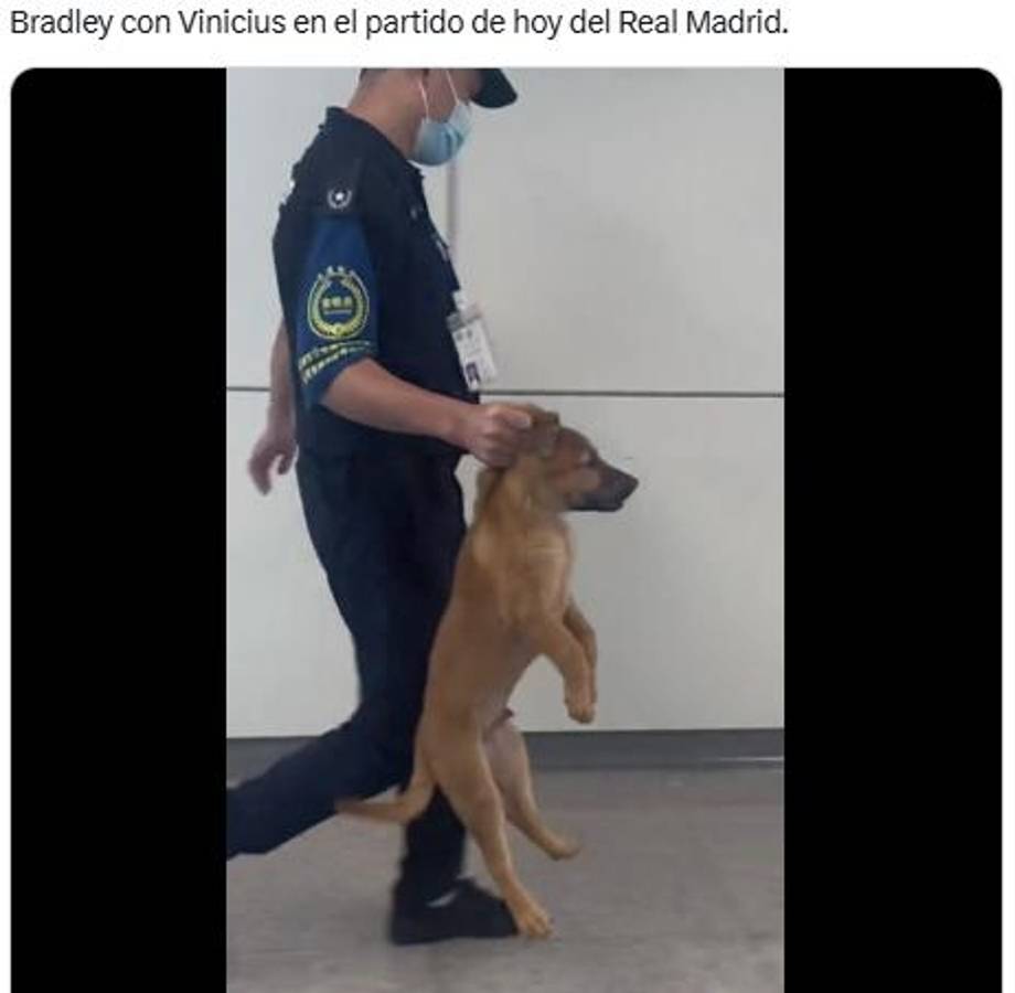 Los memes trituran a Vinicius y Mbappé por la derrota del Real Madrid ante Liverpool en la Champions