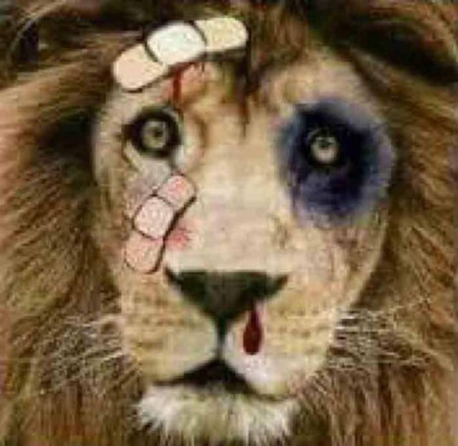 Real España y Olimpia caen y son atacados con divertidos memes