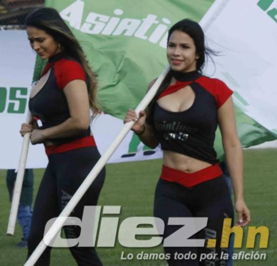 Curiosas: El nuevo amigo de Costly en Marathón y la belleza de la jornada