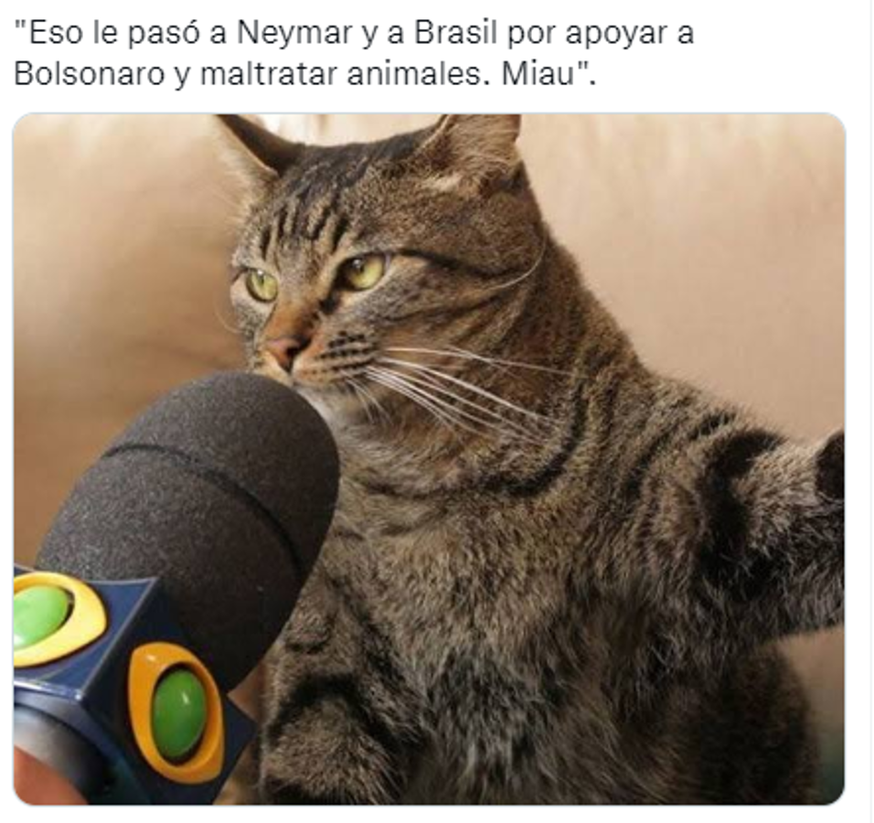 La venganza del michi: memes destrozan a Brasil tras quedar eliminado del Mundial ante Croacia