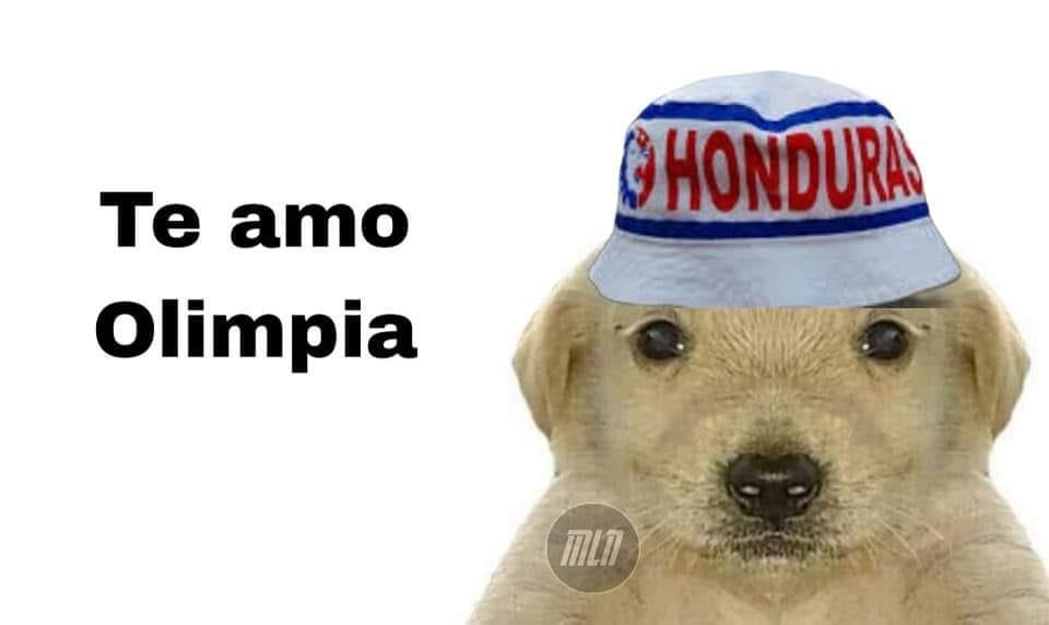 ¡Para reír! Los memes despedazan a Motagua por la paliza que sufrió ante Olimpia en el Morazán