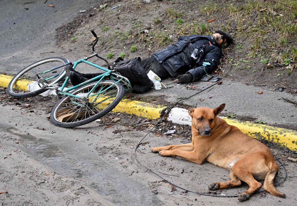 Desgarradoras imágenes: Así fue la masacre de Bucha, más de 410 muertos en Ucrania y Rusia rompe el silencio sobre la matanza