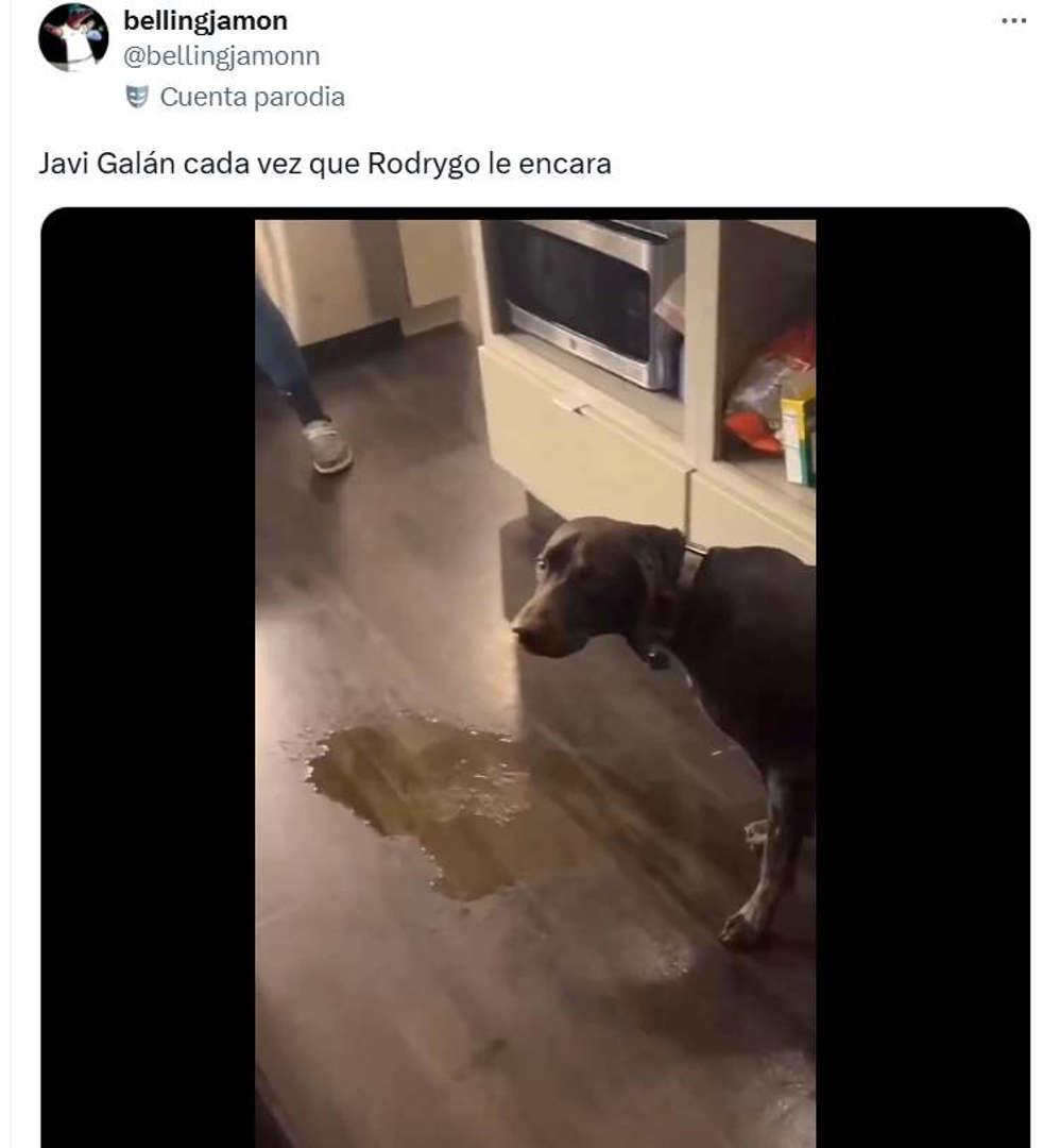 Los memes destruyen al Atlético tras caer ante Real Madrid en la ida de los octavos de Champions League