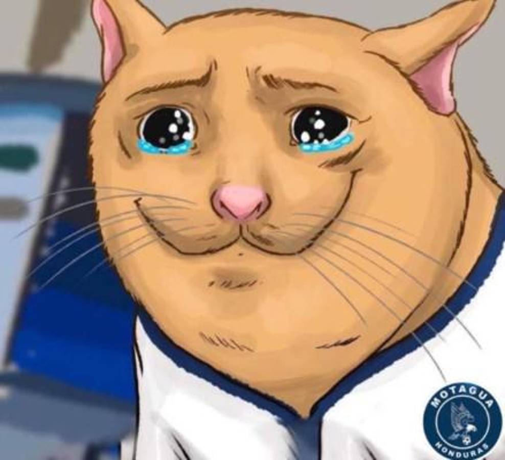 Diego Vázquez fue despedido en Motagua y las redes sociales estallan con los memes