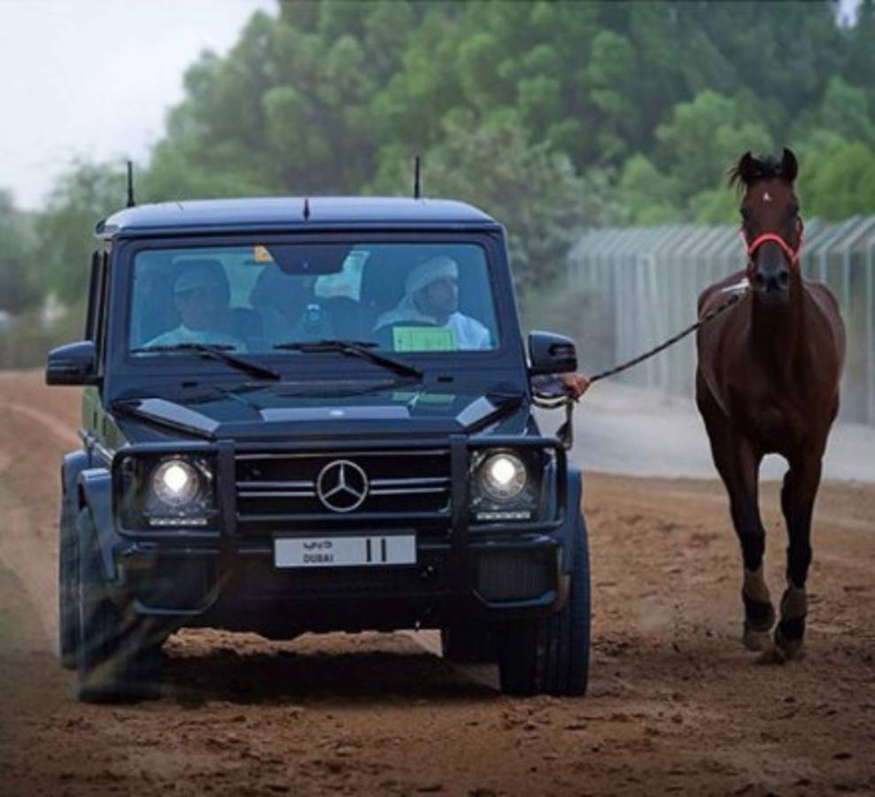 Fotos: Así era la increíble vida del príncipe de Dubai que murió a sus 33 años