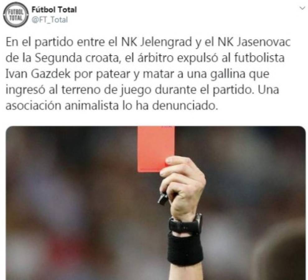 Escándalo: Futbolista croata fue expulsado por matar a una gallina en pleno partido