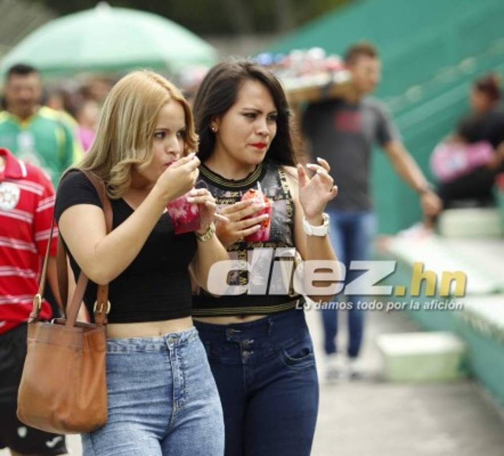 ¿Por qué son tan bellas? Estas son las chicas que adornaron Jornada 12