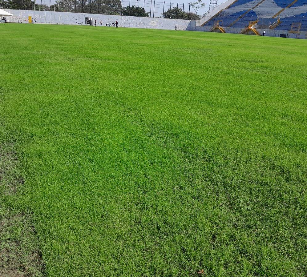 Estadio Morazán, en malas condiciones tras millonaria inversión: así de deteriorada luce la nueva cancha